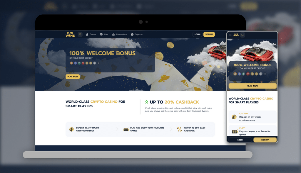 Online Gambling Establishment Incentives - VIP Programme for High Rollers